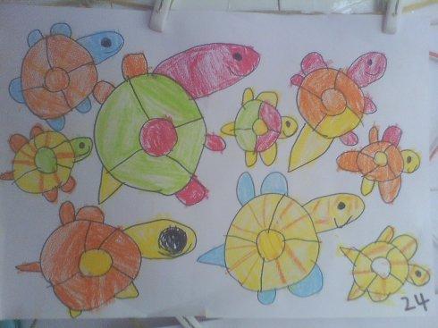 我的小乌龟作文三年级