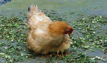 母爱藏在眼神里