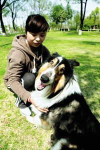 养狗的乐趣