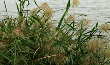 一场秋雨一场愁