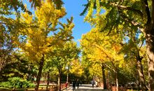 秋天的陶然亭公园