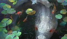 记一件亲身经历的一件事