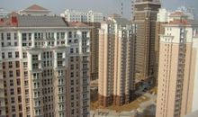 我在小区里看太阳