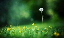 生活中那些细微处的美