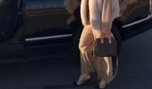 描写雪貂的作文