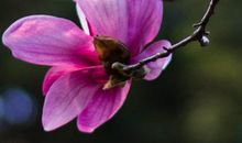 岁岁年年人不同