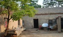 我家小区的院子