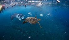 如果世界上没有了水会怎么样