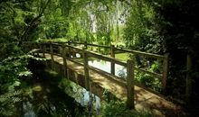 幸福一直都在我们的尾巴上