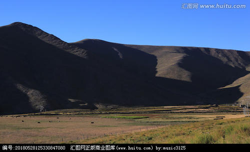 金色山丘
