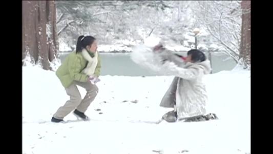 冬季恋歌
