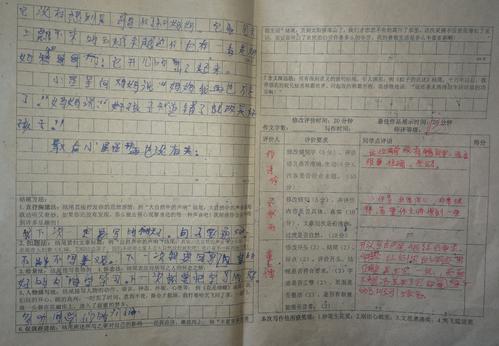 我会编一个童话三年级作文450个单词