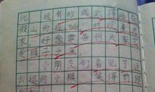 描写猴子的作文