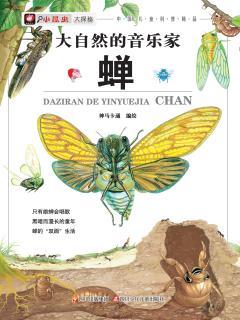 关于蝉的成分