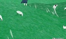 不要为错过的风景而哭泣