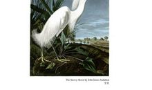 读《周末图书馆》有感