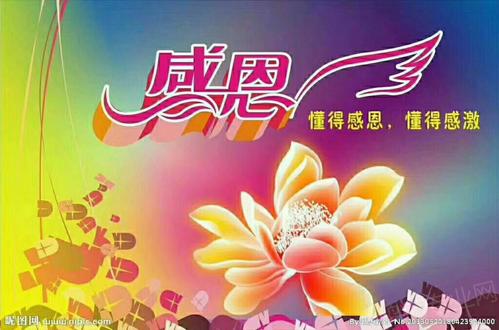 我要感谢的人