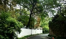 埋藏在生活里的珍珠