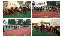 一场激烈的拔河赛作文500字