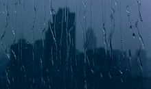 又到大雪纷飞时