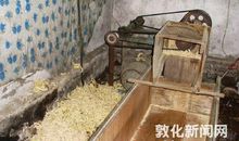 关于小学生吃零食情况的调查