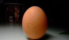 立鸡蛋