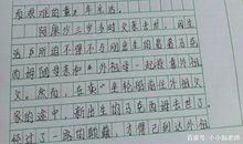 描写某个人特点的作文