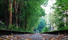 心中长明红绿灯