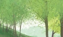 愿你被这个世界温柔以待