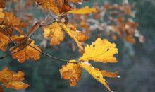 实践是春，经验是秋