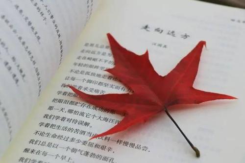 青年人适合阅读