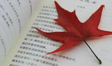 青春做伴好读书