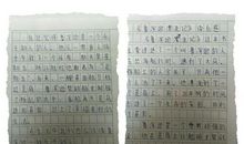 《一粒种子的信念》读后感