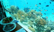 未来的海底餐厅