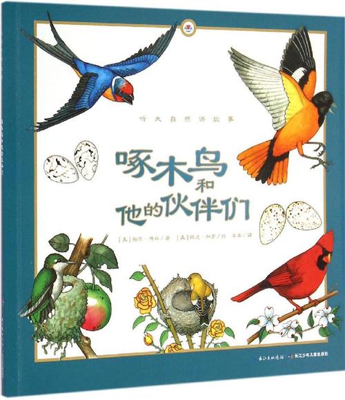 啄木鸟开启了超市童话