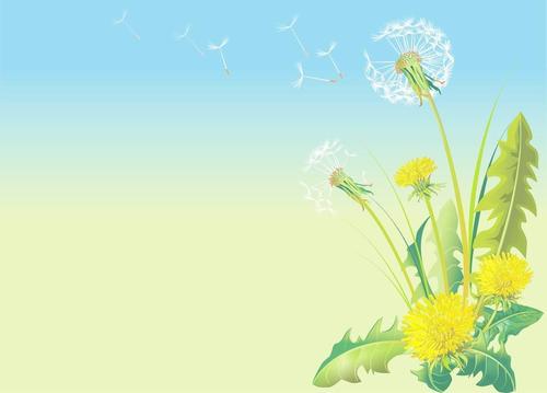 我与蒲公英共度的日子