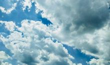 捕捉今天的艳阳