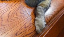 过去·现在·未来