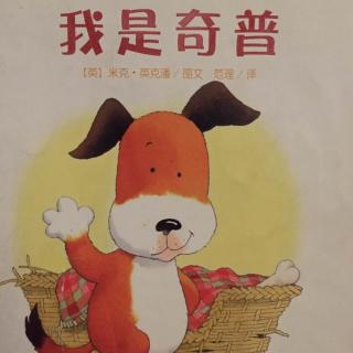 我和小狗的故事