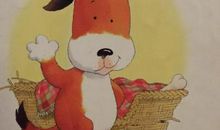 我与小狗的故事