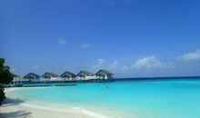 鲁滨孙教会了我