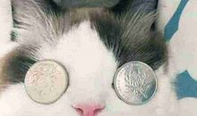 莫让感情蒙蔽了双眼