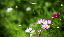 把握人生的春天