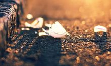 宽容让我如此美丽