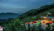 这个地方值得去