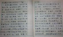 未来的学校作文300字