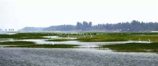 家乡湿地公园