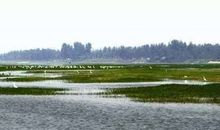 家乡的湿地公园