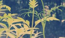 留在心里的往事