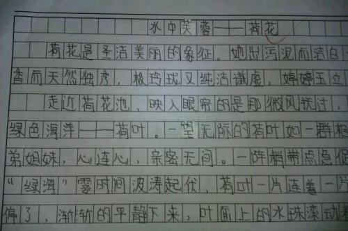 围绕中心含义写糖果